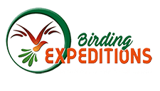 Birding Expeditions